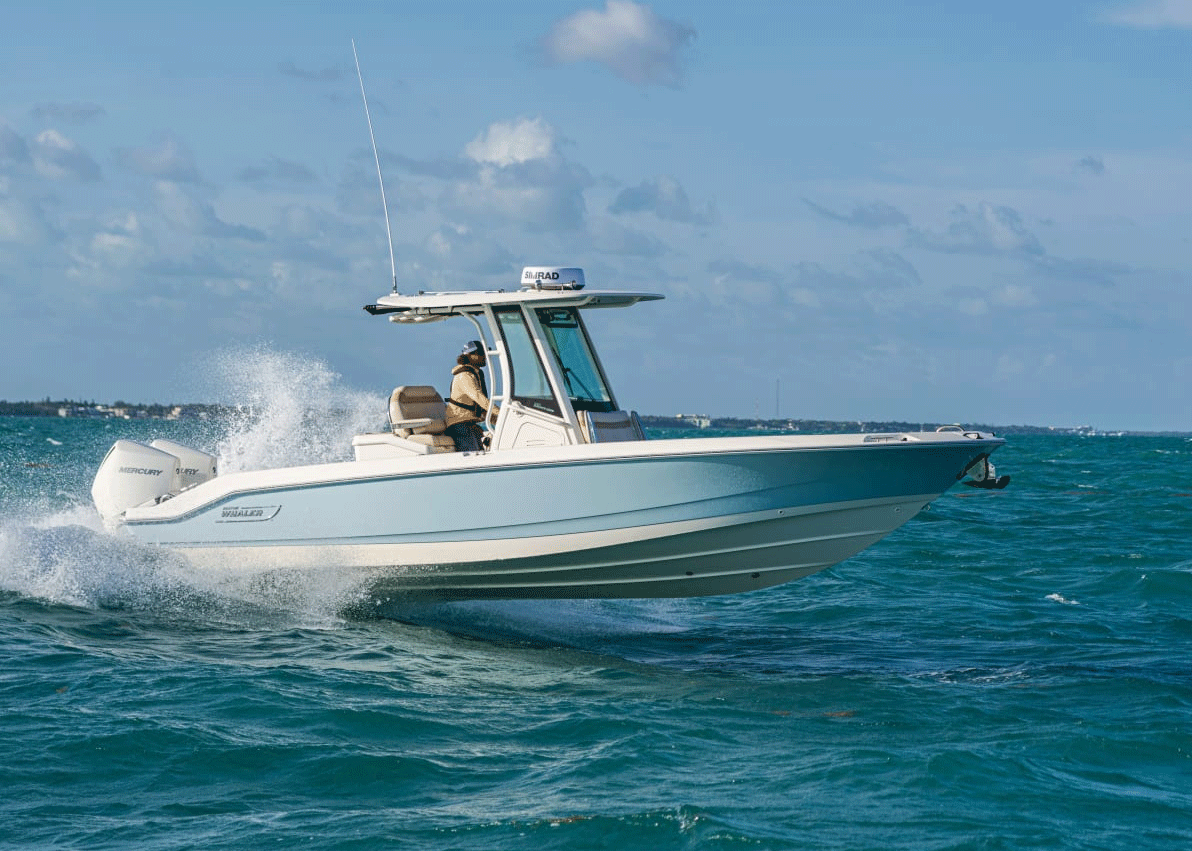 Photo Boston Whaler boat